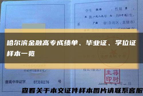 哈爾濱金融高專成績單、畢業證、學位證樣本一覽縮略圖