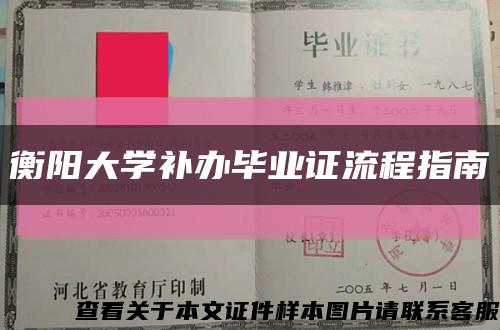 衡陽大學補辦畢業證流程指南縮略圖