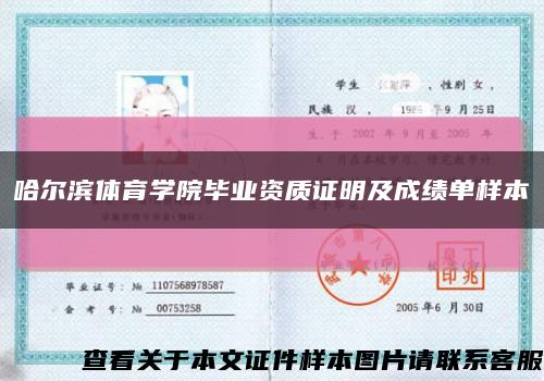 哈爾濱體育學院畢業資質證明及成績單樣本縮略圖