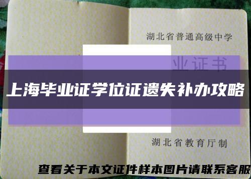 上海畢業證學位證遺失補辦攻略縮略圖