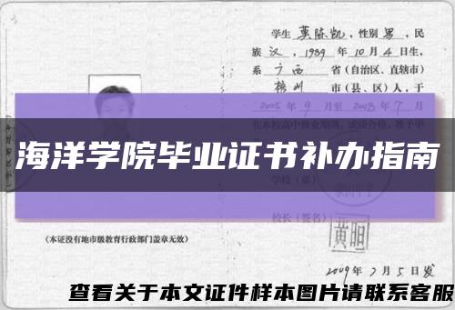 海洋學院畢業證書補辦指南縮略圖