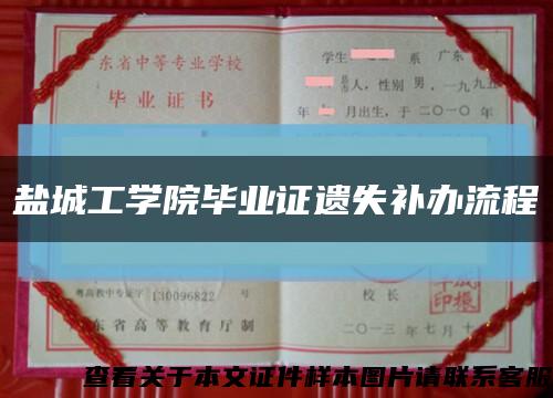 鹽城工學院畢業證遺失補辦流程縮略圖