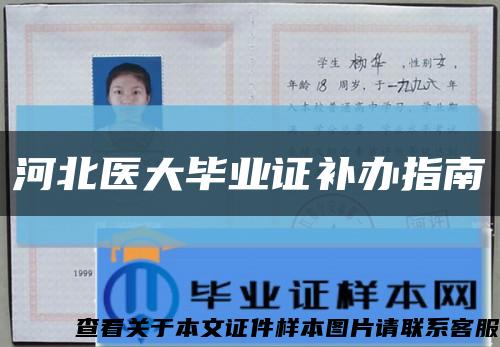 河北醫大畢業證補辦指南縮略圖
