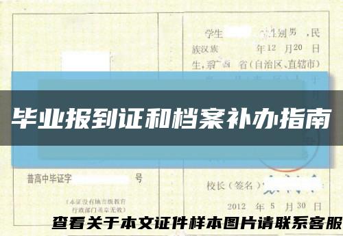 畢業報到證和檔案補辦指南縮略圖