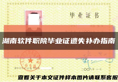 湖南軟件職院畢業證遺失補辦指南縮略圖