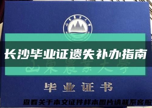 長沙畢業證遺失補辦指南縮略圖