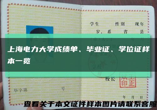 上海電力大學成績單、畢業證、學位證樣本一覽縮略圖