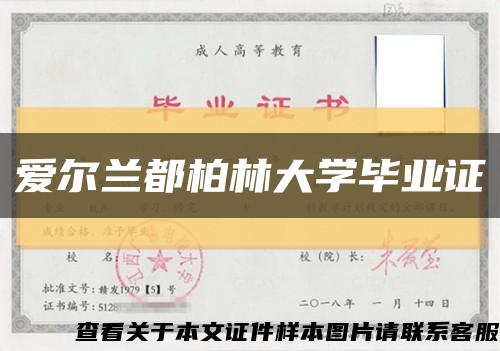 愛爾蘭都柏林大學畢業證縮略圖