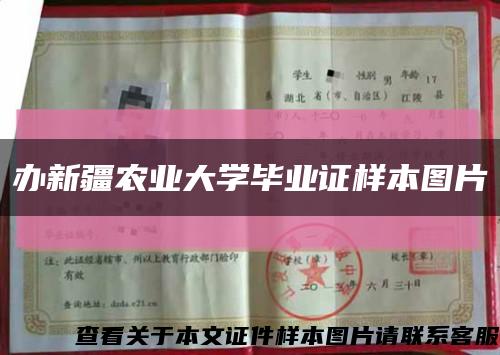 辦新疆農業大學畢業證樣本圖片縮略圖