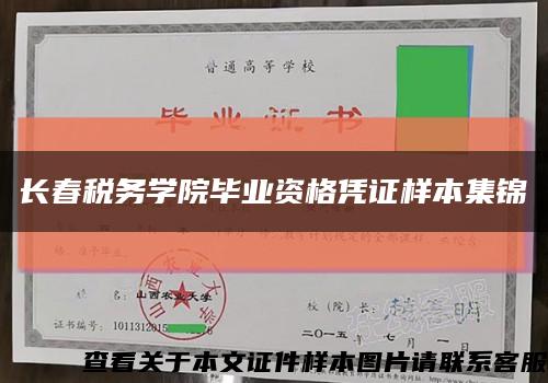 長春稅務學院畢業資格憑證樣本集錦縮略圖