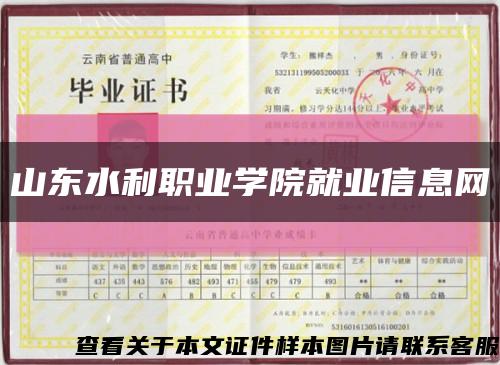 山東水利職業學院就業信息網縮略圖