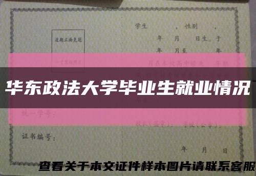 華東政法大學畢業生就業情況縮略圖