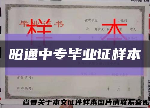 昭通中專畢業證樣本縮略圖