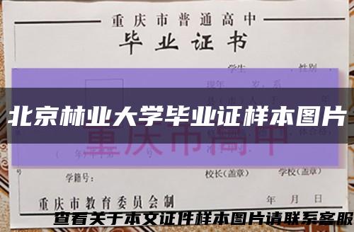 北京林業大學畢業證樣本圖片縮略圖