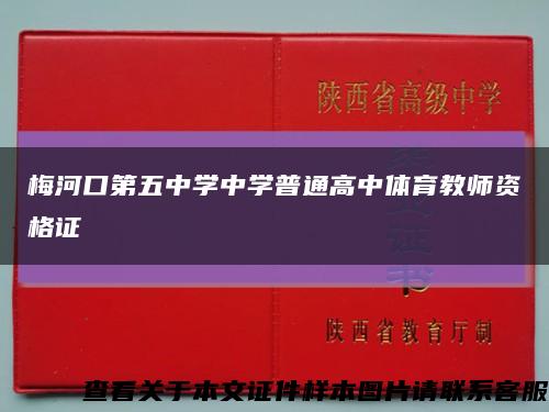 梅河口第五中學中學普通高中體育教師資格證縮略圖