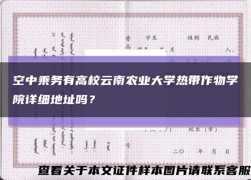 空中乘務有高校云南農業大學熱帶作物學院詳細地址嗎？縮略圖