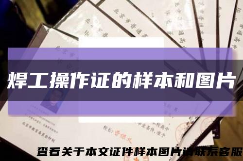 焊工操作證的樣本和圖片縮略圖