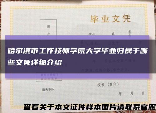 哈爾濱市工作技師學院大學畢業歸屬于哪些文憑詳細介紹縮略圖