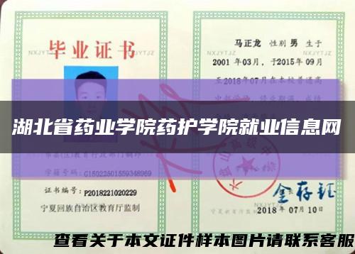 湖北省藥業學院藥護學院就業信息網縮略圖