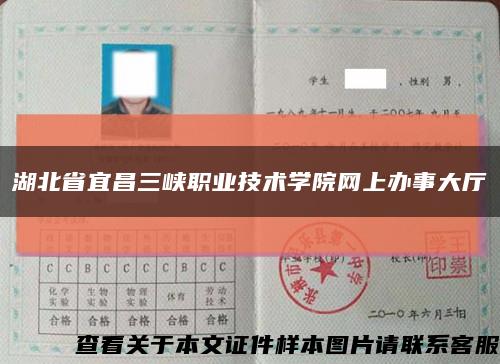 湖北省宜昌三峽職業技術學院網上辦事大廳縮略圖