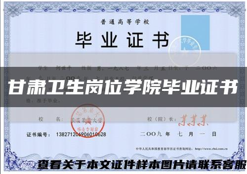 甘肅衛生崗位學院畢業證書縮略圖