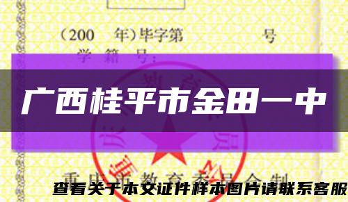 廣西桂平市金田一中縮略圖