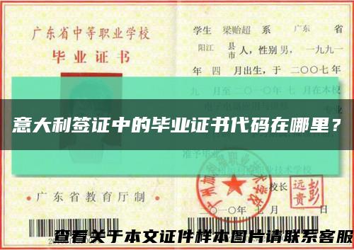 意大利簽證中的畢業證書代碼在哪里？縮略圖
