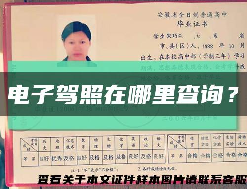 電子駕照在哪里查詢？縮略圖