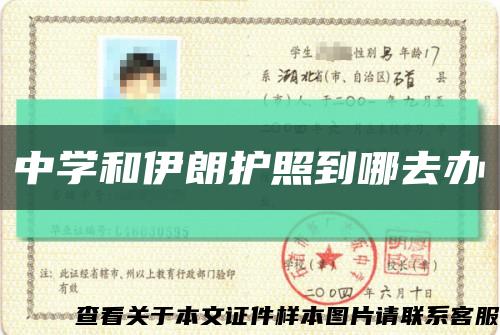 中學和伊朗護照到哪去辦縮略圖