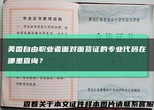美國自由職業者面對面簽證的專業代碼在哪里查詢？縮略圖