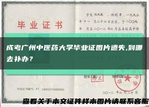 成考廣州中醫藥大學畢業證圖片遺失,到哪去補辦？縮略圖