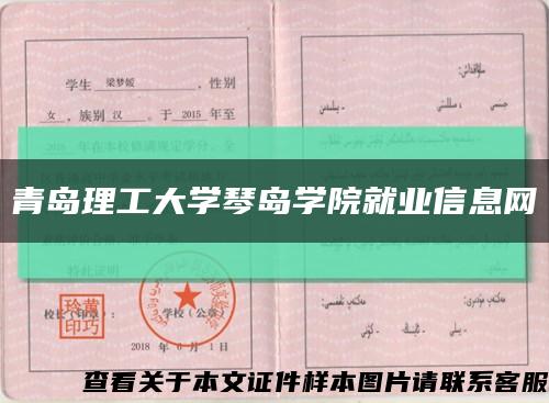 青島理工大學琴島學院就業信息網縮略圖