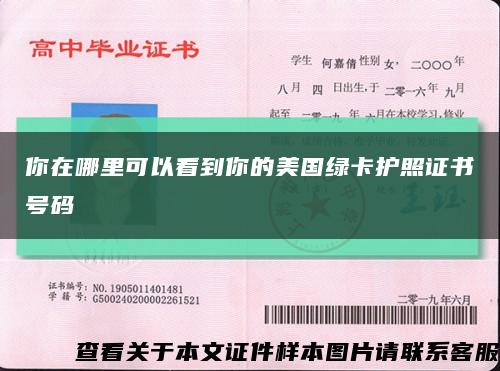 你在哪里可以看到你的美國綠卡護照證書號碼縮略圖