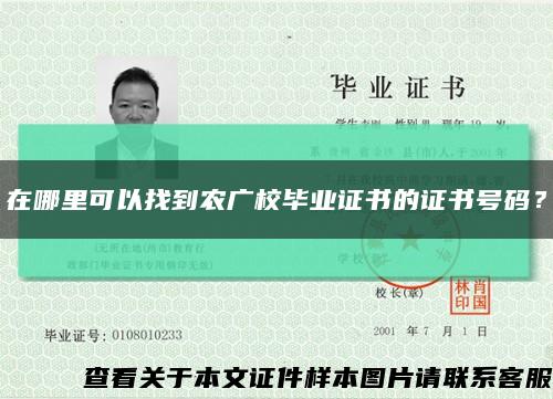 在哪里可以找到農廣校畢業證書的證書號碼？縮略圖