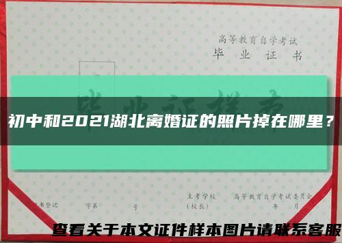 初中和2021湖北離婚證的照片掉在哪里？縮略圖