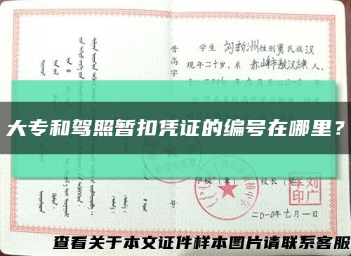 大專和駕照暫扣憑證的編號在哪里？縮略圖