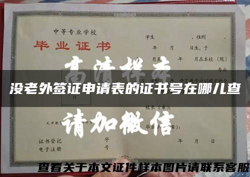沒老外簽證申請表的證書號在哪兒查縮略圖