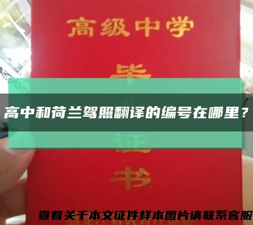 高中和荷蘭駕照翻譯的編號在哪里？縮略圖