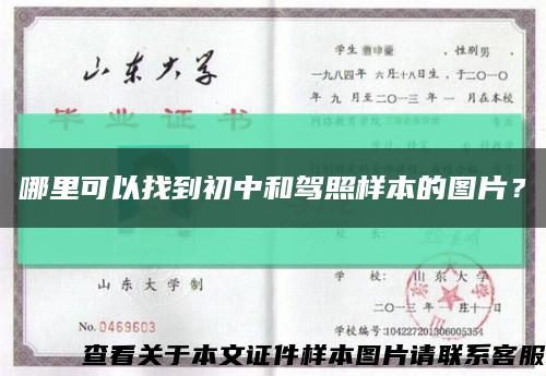 哪里可以找到初中和駕照樣本的圖片？縮略圖