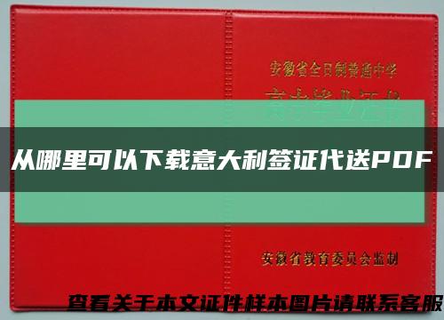 從哪里可以下載意大利簽證代送PDF縮略圖