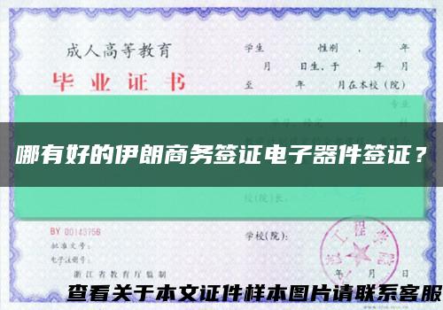 哪有好的伊朗商務簽證電子器件簽證？縮略圖