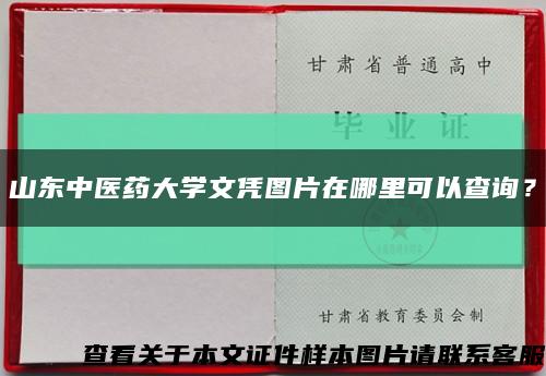山東中醫藥大學文憑圖片在哪里可以查詢？縮略圖