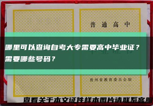 哪里可以查詢自考大專需要高中畢業證？ 需要哪些號碼？縮略圖