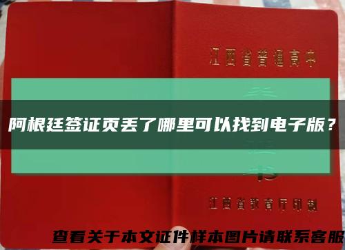 阿根廷簽證頁丟了哪里可以找到電子版？縮略圖