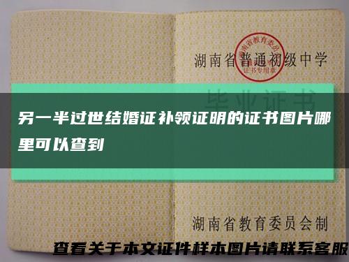 另一半過世結婚證補領證明的證書圖片哪里可以查到縮略圖