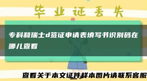?？坪腿鹗縟簽證申請表填寫書識別碼在哪兒查看縮略圖