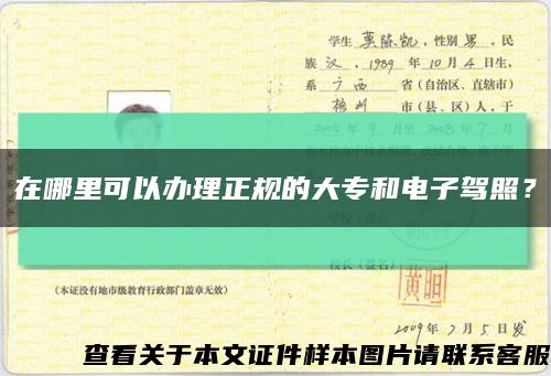 在哪里可以辦理正規的大專和電子駕照？縮略圖