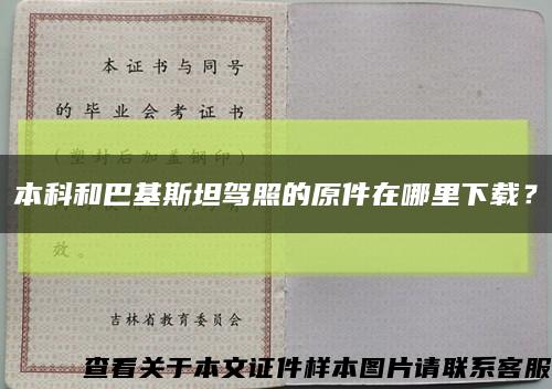 本科和巴基斯坦駕照的原件在哪里下載？縮略圖