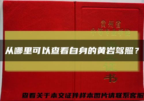 從哪里可以查看自身的黃巖駕照？縮略圖