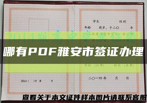 哪有PDF雅安市簽證辦理縮略圖